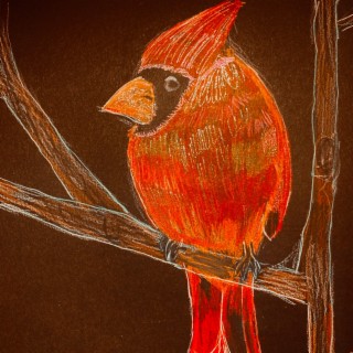 Red Little Cardinal (Sacred Bird)