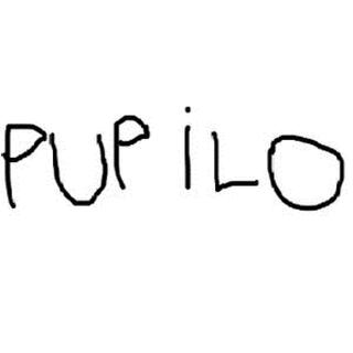 Pupilo