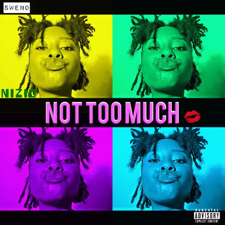 Not Too Much | Boomplay Music