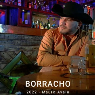 Borracho lyrics | Boomplay Music