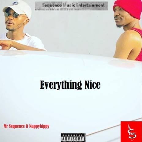 Everything Nice ft. Nappyhippy | Boomplay Music