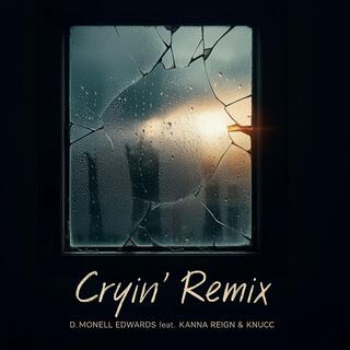 Cryin' (Remix)