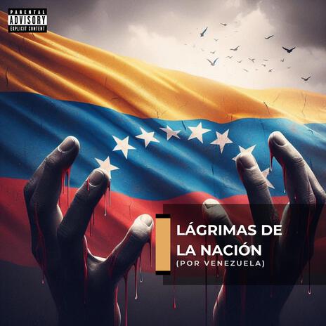 Lágrimas de la Nación (Por Venezuela) | Boomplay Music