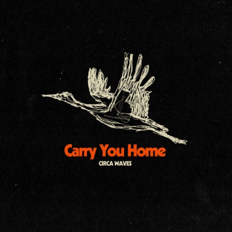 Carry You Home | Boomplay Music