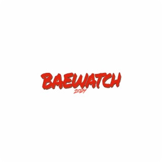 Baewatch 2024