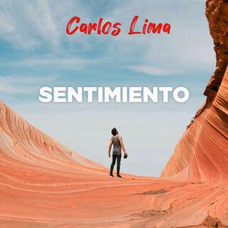 SENTIMIENTO