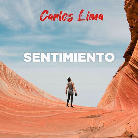 SENTIMIENTO | Boomplay Music