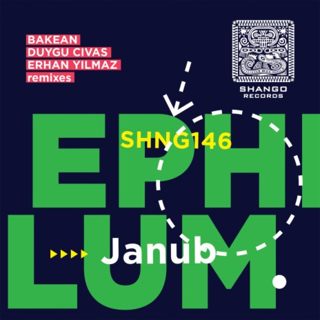Janub (Erhan Yilmaz Remix) | Boomplay Music