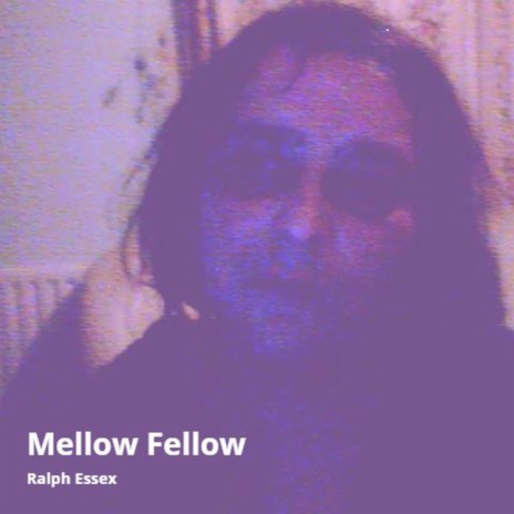 Mellow Fellow | Boomplay Music