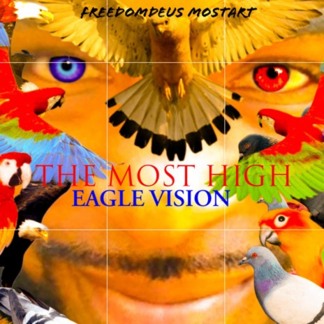 Eagle Vision | Boomplay Music