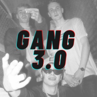 GANG 3.0