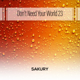 Don't Need Your World 23