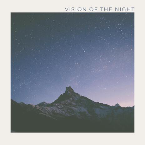 Vision Of The Night | Boomplay Music