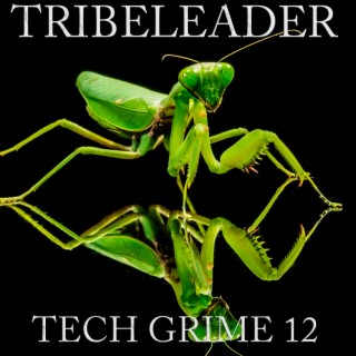 TECH GRIME 12