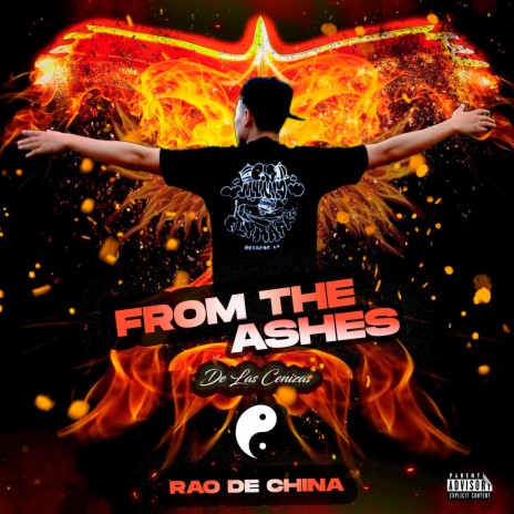 From the Ashes | Boomplay Music