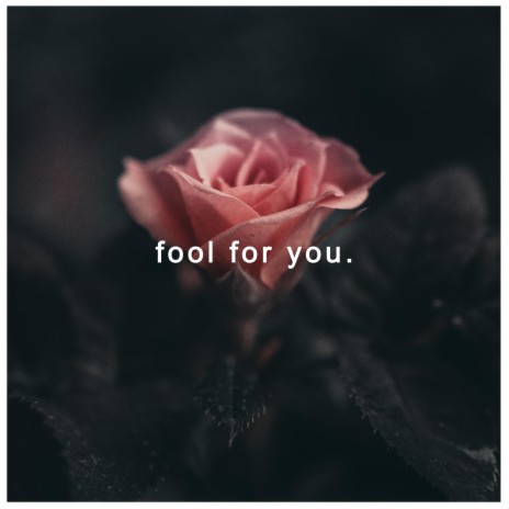 Fool for you | Boomplay Music