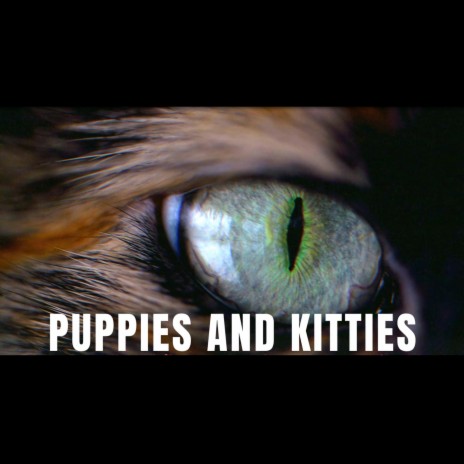 Puppies and Kitties | Boomplay Music
