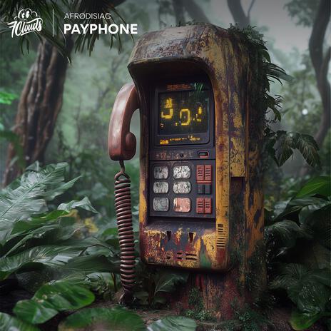 Payphone | Boomplay Music