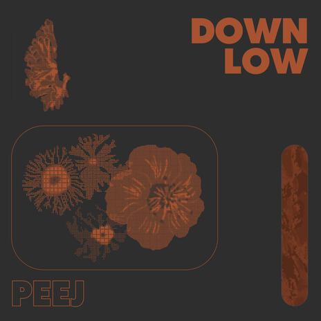 down low | Boomplay Music