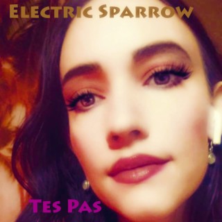 Tes Pas (Radio Edit)