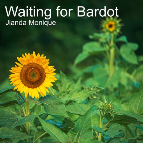 Waiting for Bardot | Boomplay Music