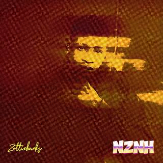 NZNH lyrics | Boomplay Music