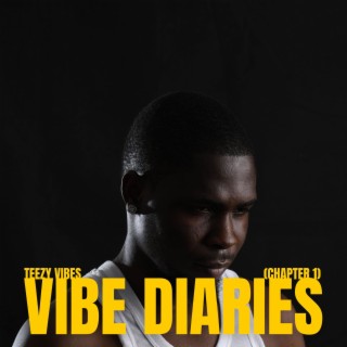 Vibe Diaries (Chapter 1)
