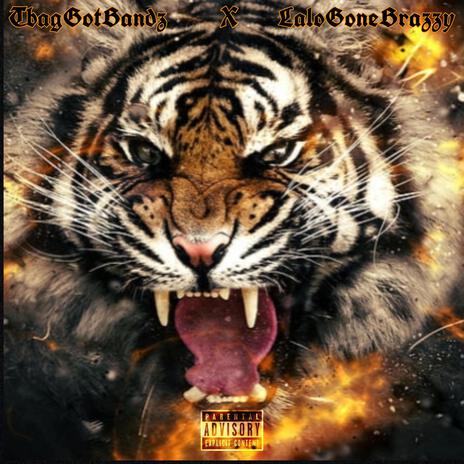 Tiger ft. Lalogonebrazzy