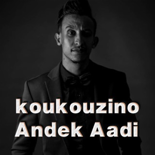 Andek Aadi