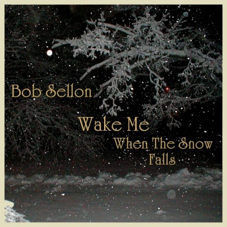 Wake Me When The Snow Falls | Boomplay Music