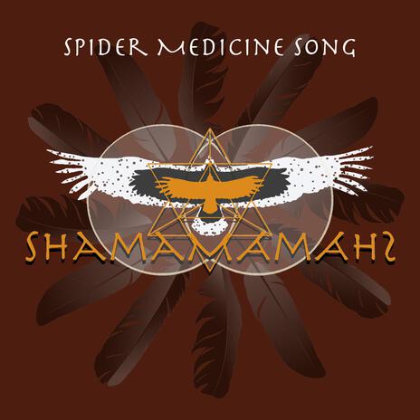 Spider Medicine Song | Boomplay Music