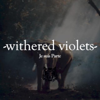 Withered Violets