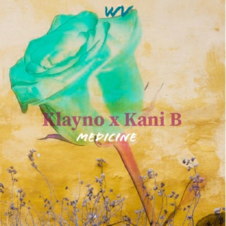 Medicine ft. Kani B | Boomplay Music