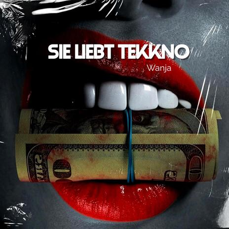 Sie liebt Tekkno | Boomplay Music