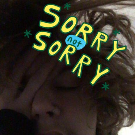 Sorry Not Sorry | Boomplay Music