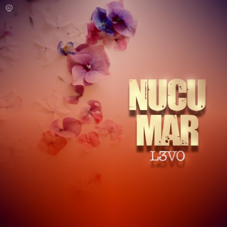 Nucu Mar | Boomplay Music