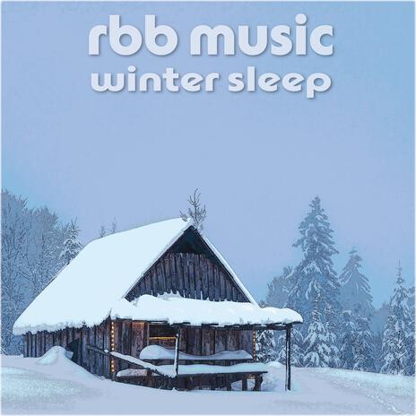 winter sleep | Boomplay Music