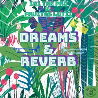 Dreams & Reverb