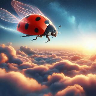 Soaring Ladybird