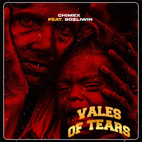 VOT (VALES OF TEARS) ft. Bozliwin | Boomplay Music