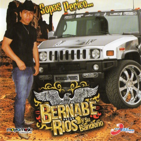 El Burro Prieto | Boomplay Music