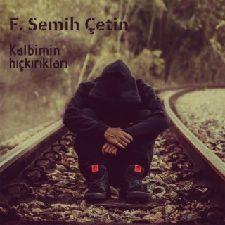 F. Semih Çetin