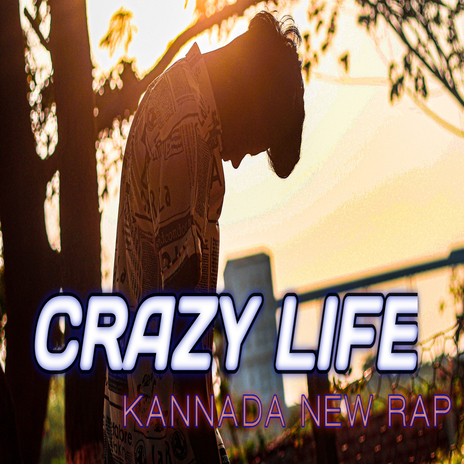 Crazy Life | Boomplay Music