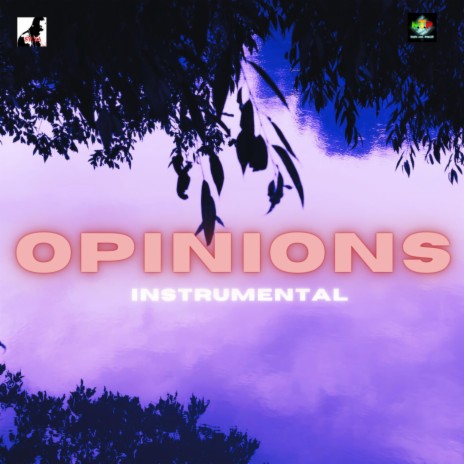 OPINIONS INSTRUMENTAL | Boomplay Music
