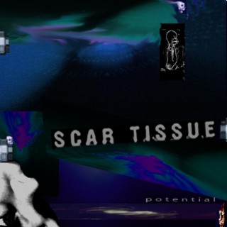 Scar Tissue