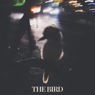 THE BIRD