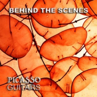 Picasso Guitars