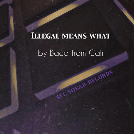 Illegal means what