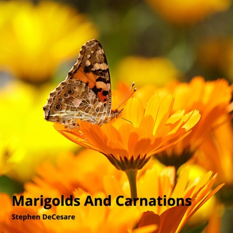 Marigolds and Carnations | Boomplay Music