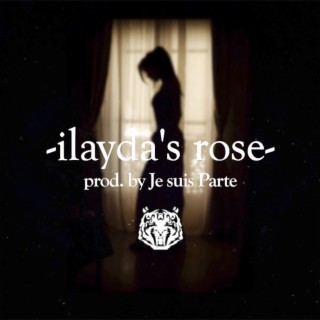 Ilayda's Rose